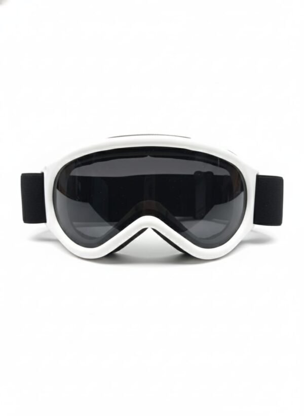 Premium Eye Protection Safety Snow Goggles